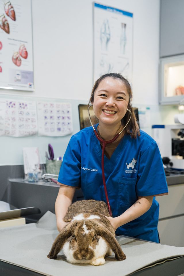 Pocket pet store veterinarian near me